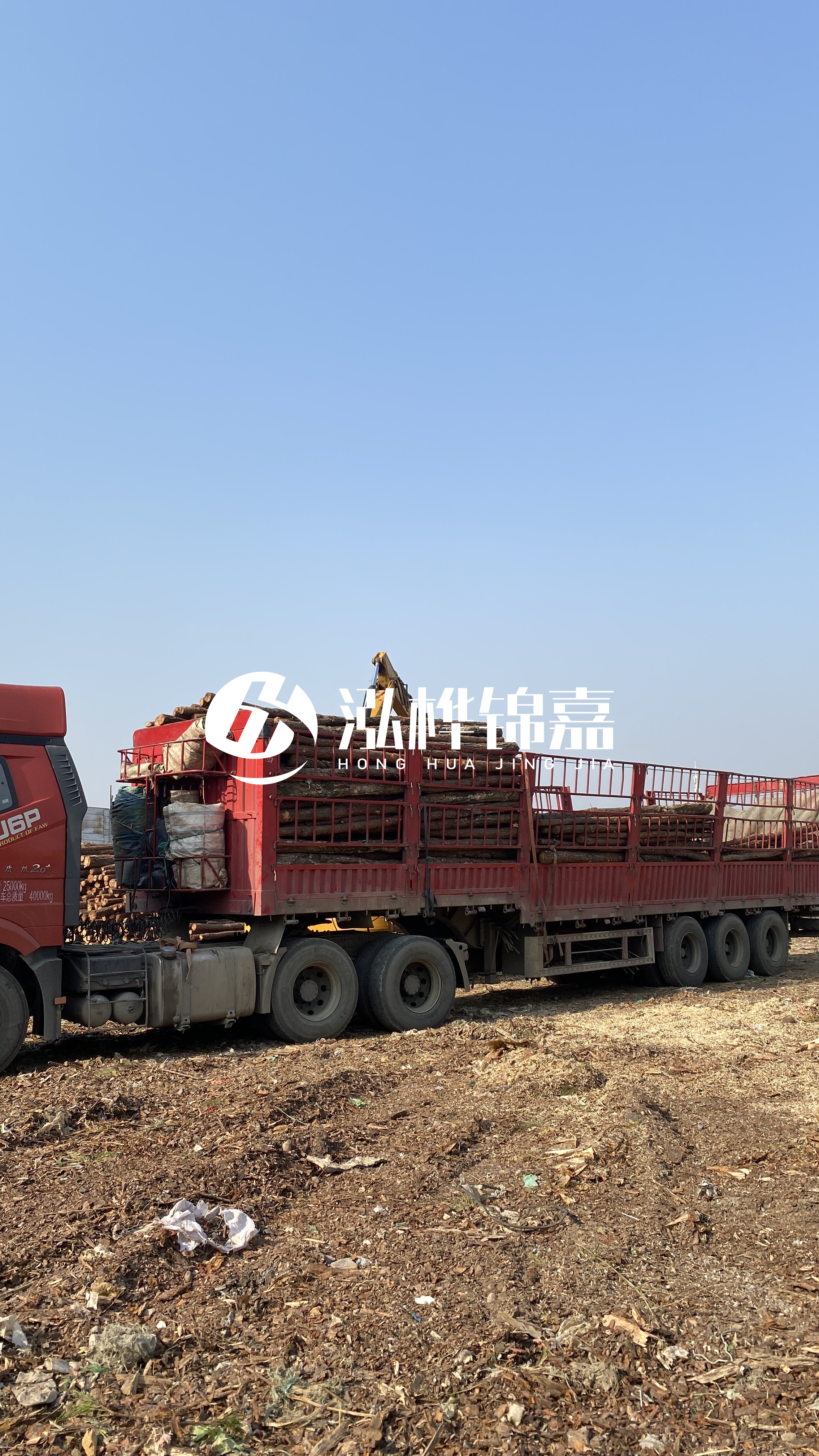 蘭州松木樁批發(fā)源頭廠家-落葉松與濕地松的主要區(qū)別？