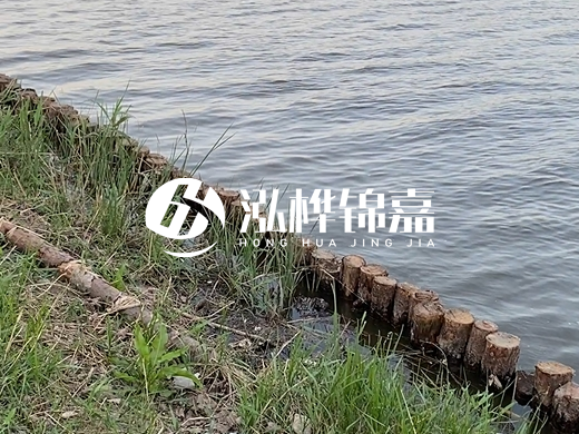 防洪松木樁施工重要性？河道打木樁的位置怎么確定？