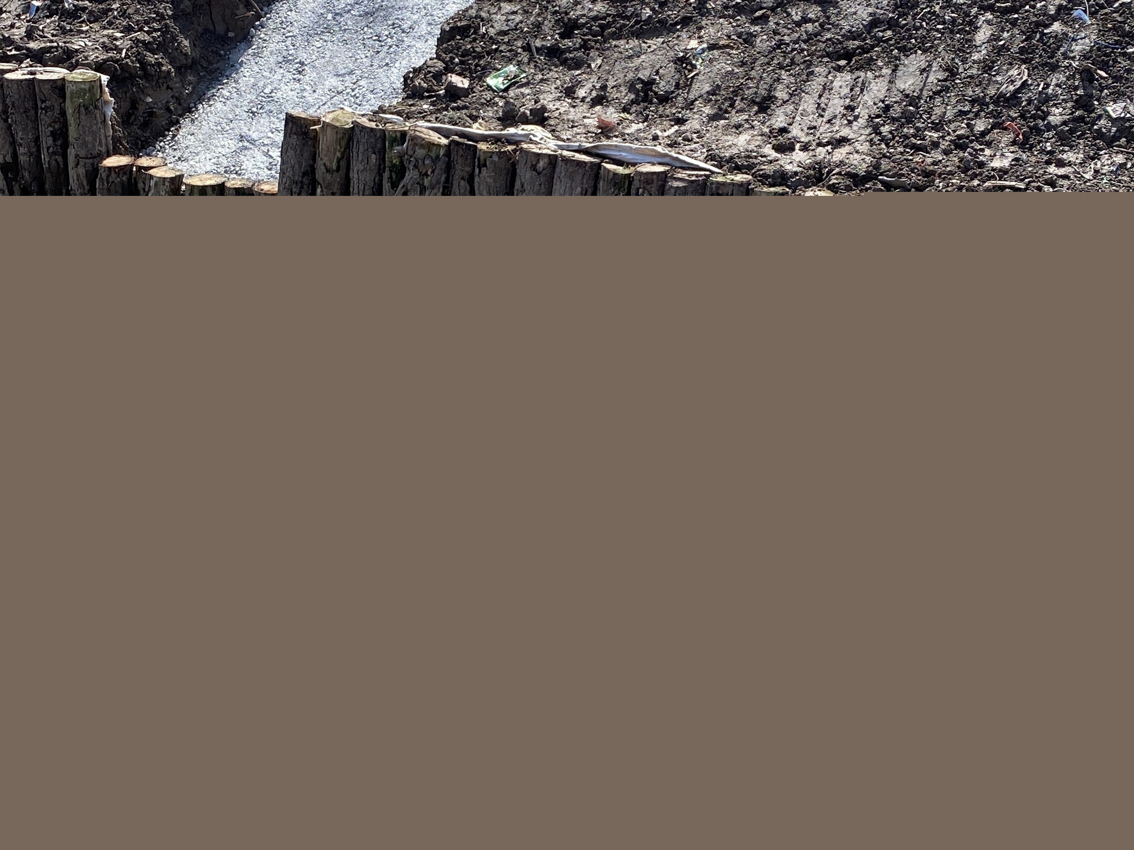 松木樁批發(fā)廠家泓樺錦嘉-打松木樁適合魚塘加固嗎？