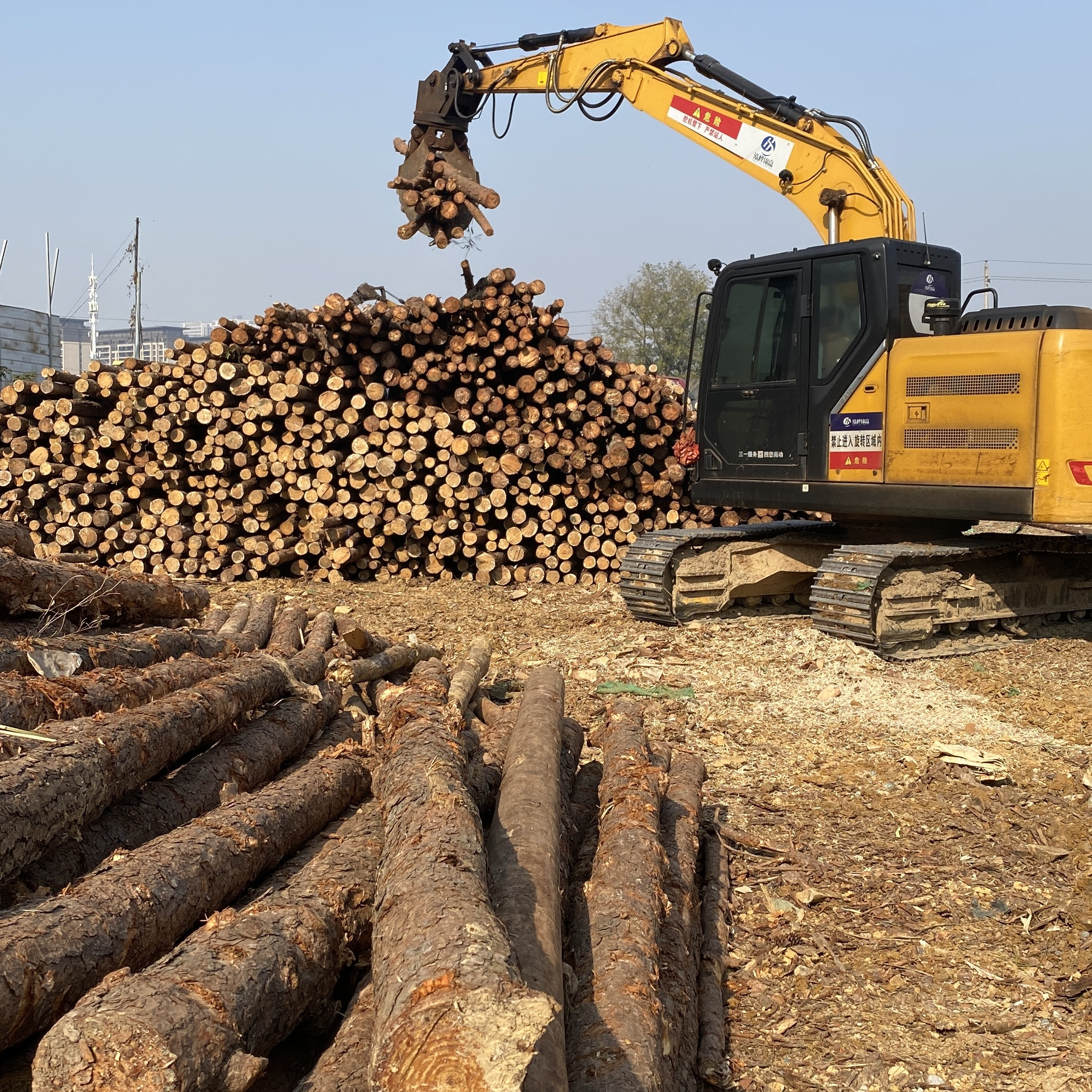 松木樁廠家泓樺錦嘉-濕地松原木的價格大概是多少？