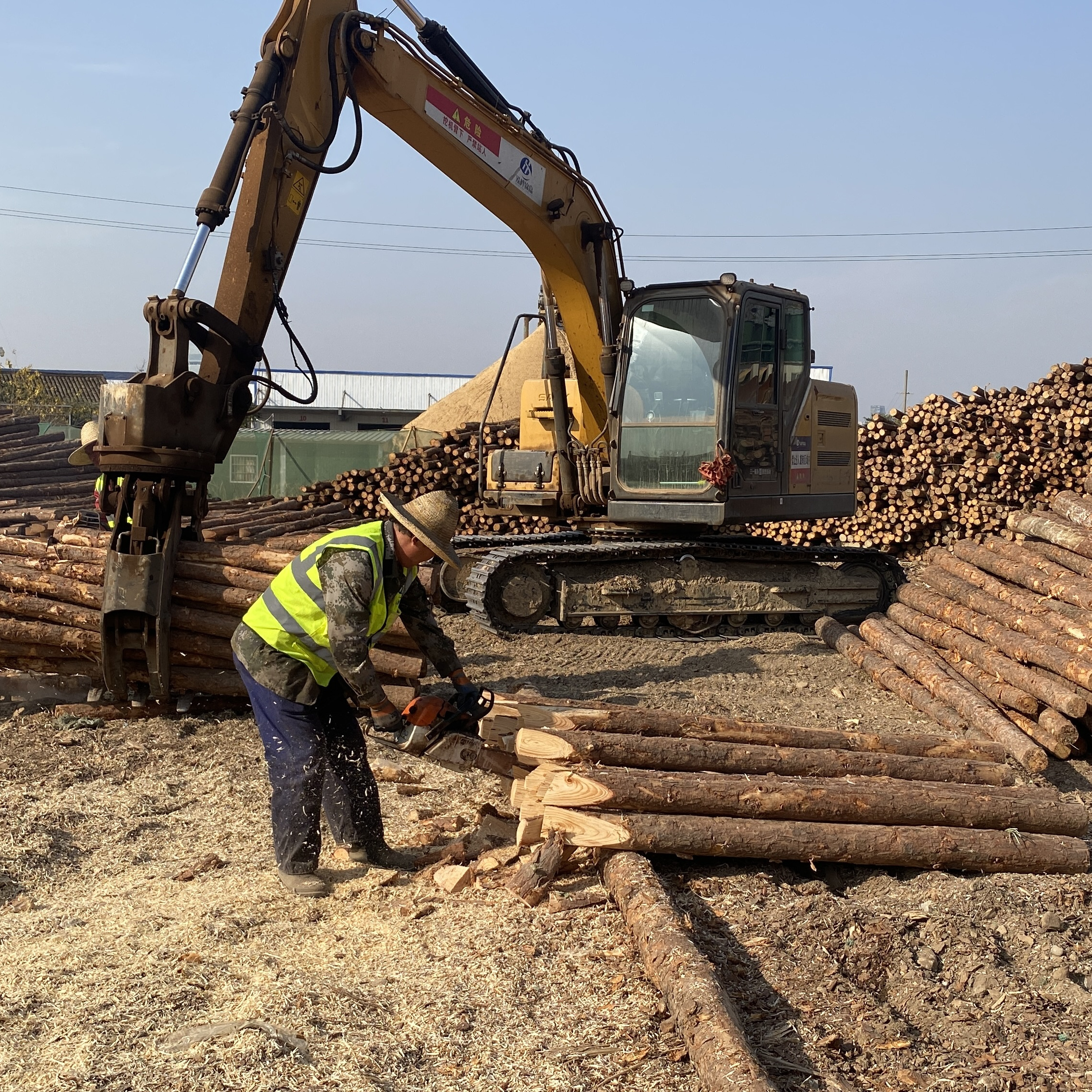 松木樁廠家泓樺錦嘉-工程打樁木選擇落葉松還是濕地松更耐腐蝕？