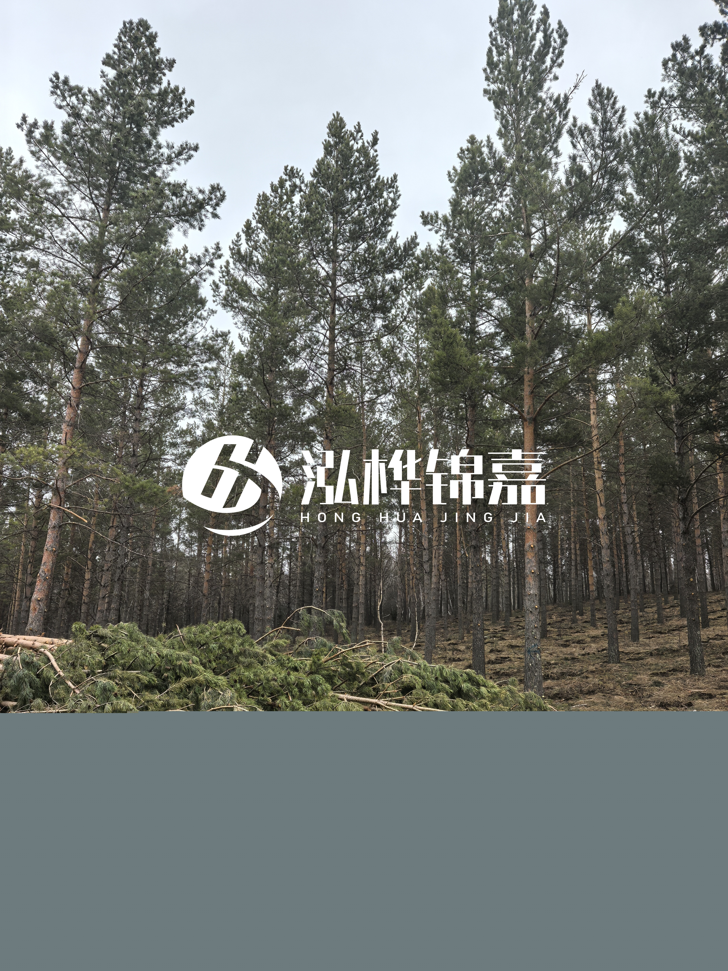 松木樁施工隊(duì)泓樺錦嘉 - 河道打樁木能在水里使用多少年？