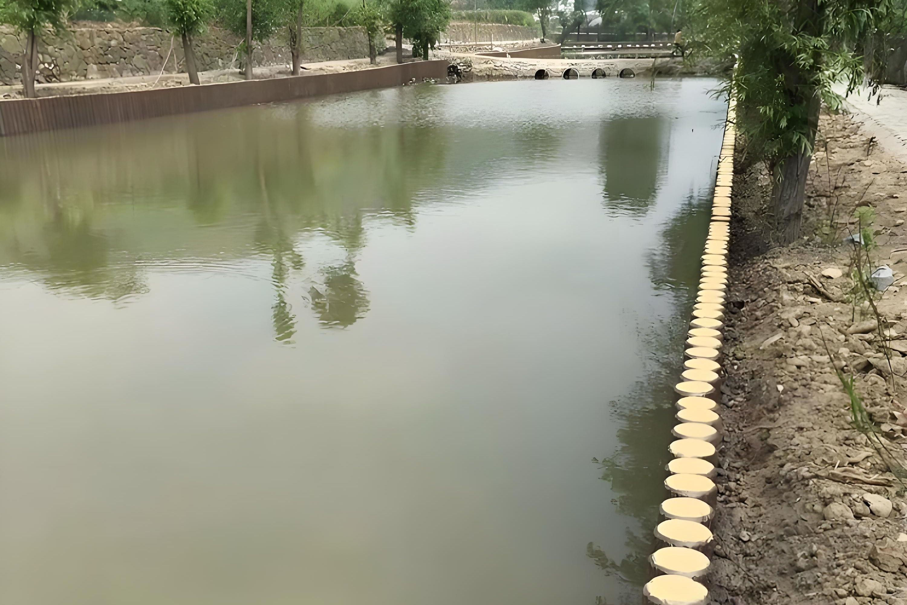 松木樁包工包料泓樺錦嘉-松木樁在水中的耐久性如何？